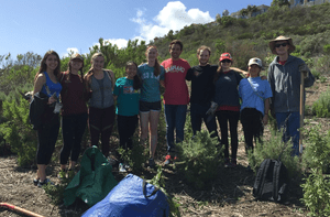 Students work towards restoring a local habitat.