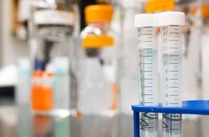 Test tubes filled with a clear liquid.